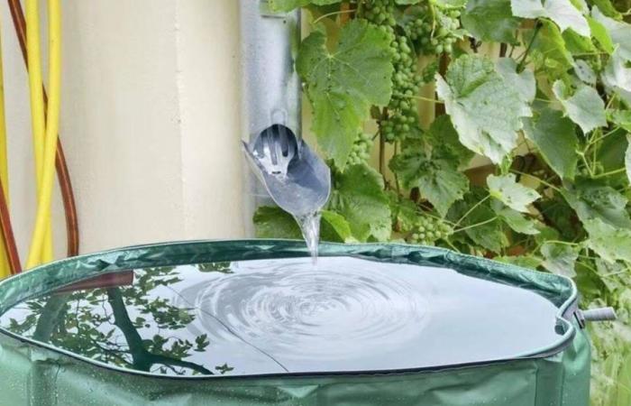 A prix réduit, ce récupérateur d’eau de pluie de 200 litres fait un carton sur AliExpress