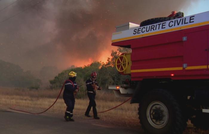 RAPPORTS. Des incendies en cascade dans le Nord, comme dans la commune de Poum très touchée par la sécheresse