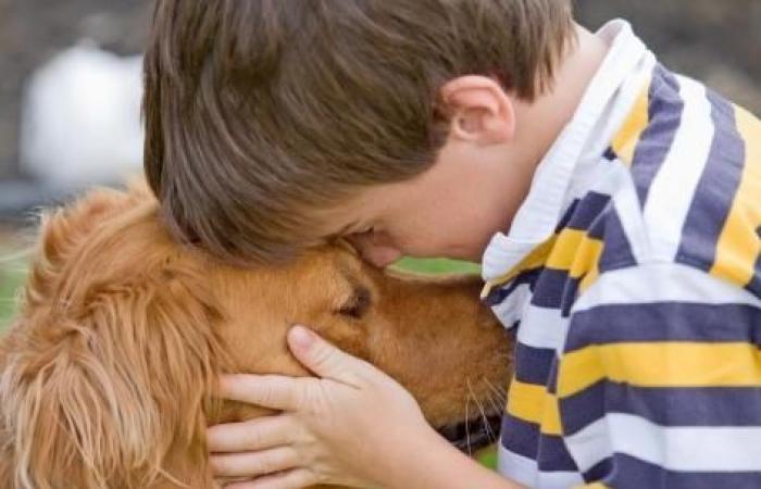 grandir avec un chien réduit les risques