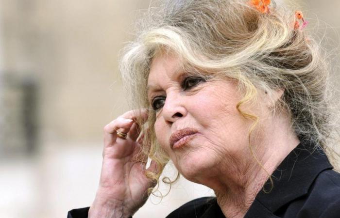 La demande de Brigitte Bardot pour ses 90 ans