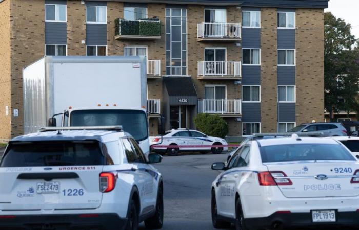 quatre hommes, dont un mineur, interpellés