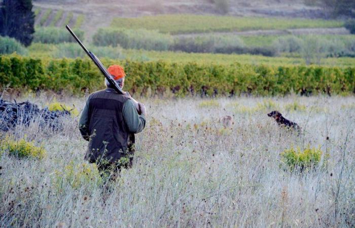 un chasseur touché à la tête lors d’une chasse au sanglier