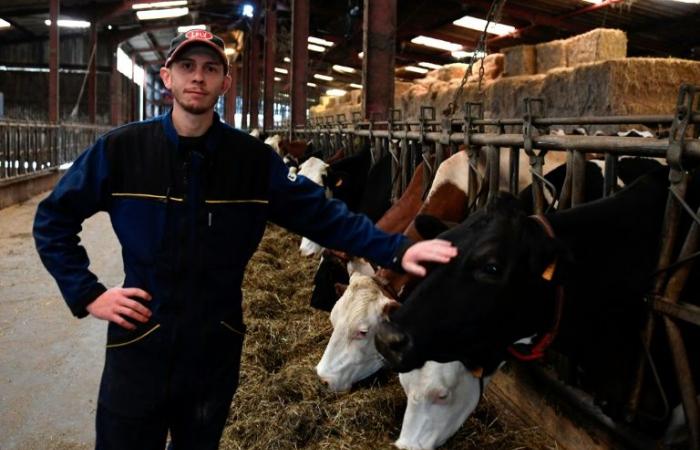 Dans les Vosges, le désarroi des producteurs laitiers face au retrait de Lactalis