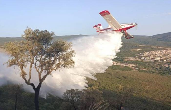 Extinction d’un incendie de forêt à Sidi Semiane