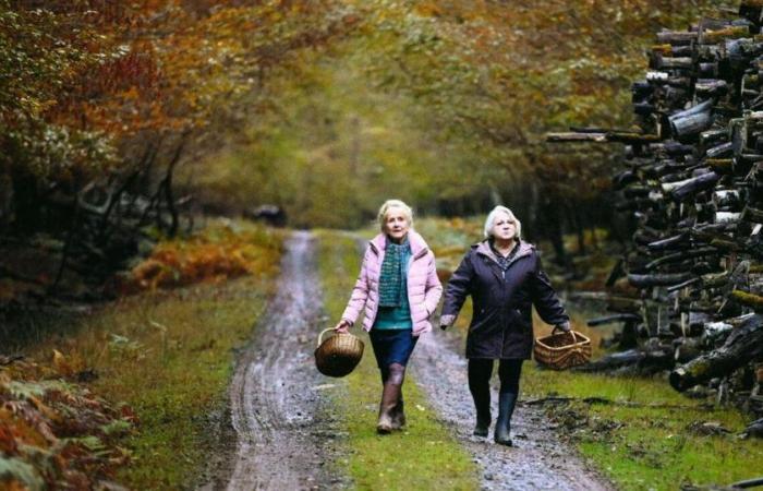 Quand l’automne arrive : gare aux grands-mères dans la nouvelle pépite de François Ozon