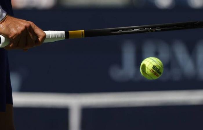 Cotes des paris et aperçus des matchs du Rakuten Japan Open Tennis Championships pour le 29 septembre 2024, simple messieurs