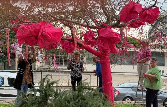 « Engagés, car ils sont directement ou indirectement impactés par le cancer », des bénévoles à l’écoute de la Ligue Cancer de Bagnols-sur-Cèze