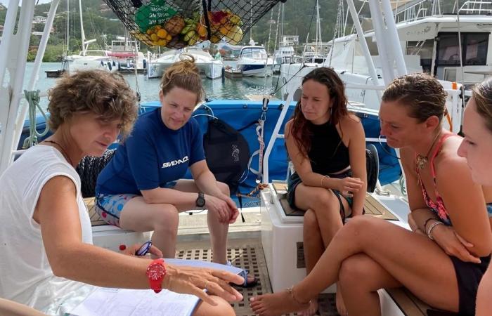 Médecin-skipper, Magali navigue autour du monde au secours des soignants isolés des îles