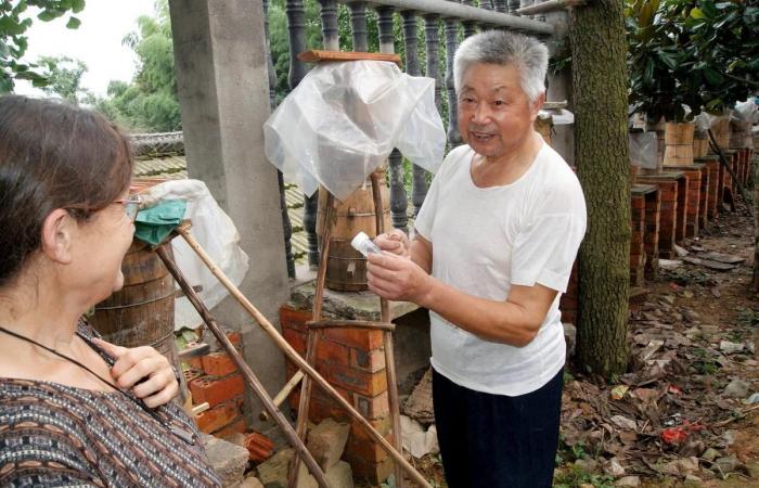 quand « Sud Ouest » suivait la piste chinoise du premier frelon arrivé en France via le Lot-et-Garonne