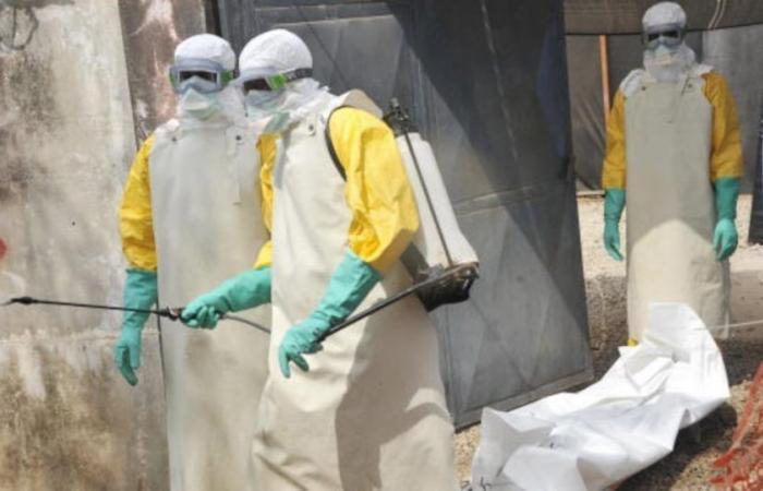 Le virus de Marburg fait six morts au Rwanda