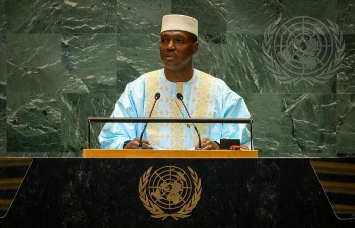 « Energumenes diplomatiques »… « Ignares »… Comment le vice-Premier ministre malien a démoli, devant l’ONU, le MAE et le représentant de l’Algérie auprès de l’ONU (vidéo)