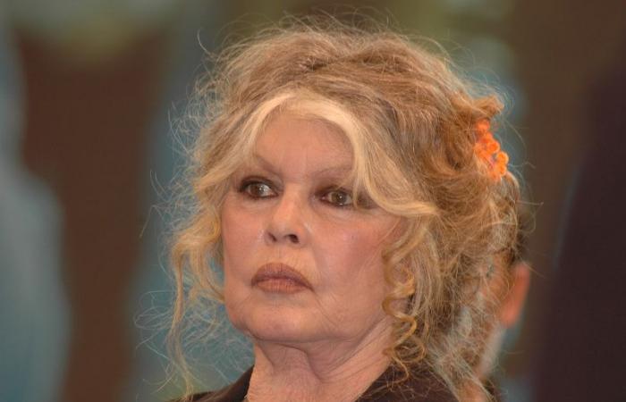 pour ses 90 ans, Brigitte Bardot ne rêve que d’une chose, le calme