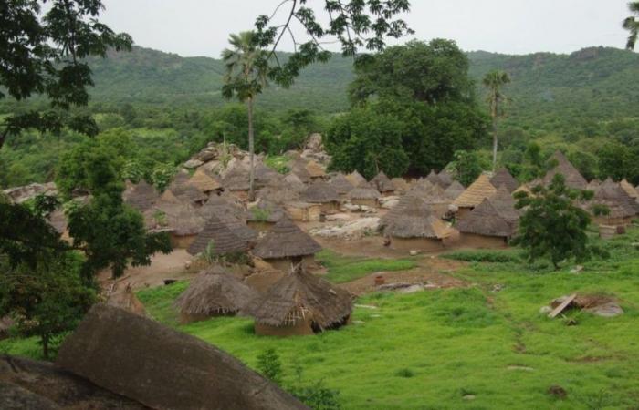 Ecotourisme Sénégal : à la découverte d’un paradis durable