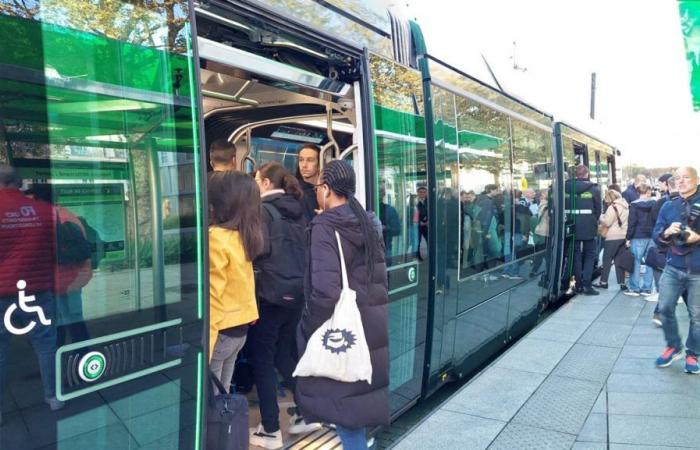 quelles sont les perturbations dans les bus et tramways ?