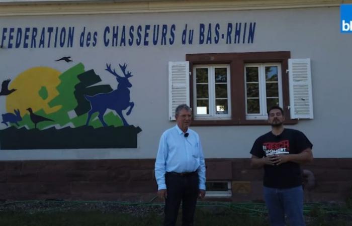 EN VIDÉOS – La Fédération de Chasse du Bas-Rhin