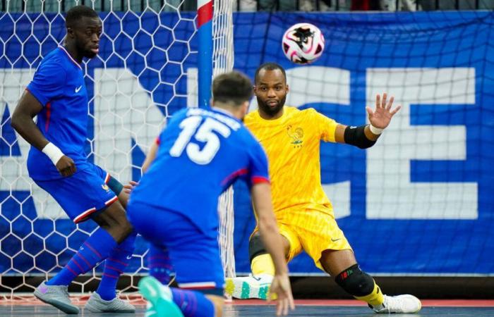 pourquoi les Bleus du futsal ont tout pour rêver de titre