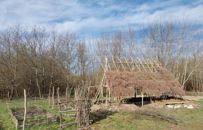 En Gironde, une cathédrale du XIe siècle renaît grâce à une centaine de bénévoles