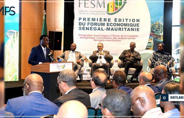 SÉNÉGAL-AFRIQUE-COOPÉRATION / Les exportations commerciales du Sénégal vers la Mauritanie augmentent de 39,7 à 112,8 milliards en quatre ans (ministre) – Agence de presse sénégalaise