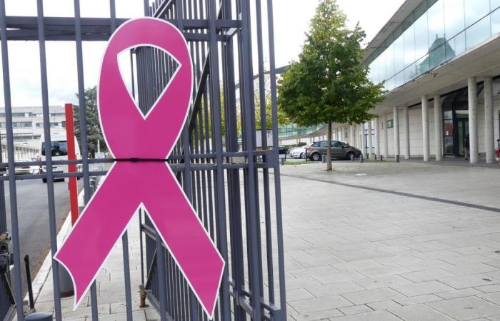 Informations sur la tournée | Octobre rose 2024 : qu’a-t-on prévu en Touraine ?