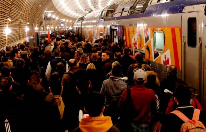 Une femme morte, une cellule psychologique mise en place, la gare bouclée… Le point sur le terrible accident de la gare de Monaco