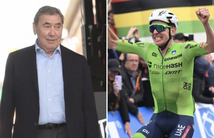 Vélo. Route – Mondiaux – Eddy Merckx : « Pogacar ? Moi, je n’ai pas attaqué à 100 km »