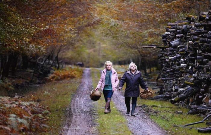 Hélène Vincent et Josiane Balasko généreuses et mystérieuses dans “Quand arrive l’automne” de François Ozon