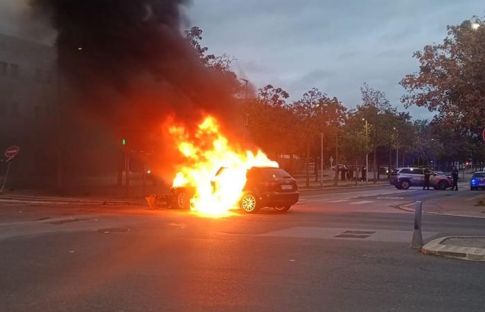 son conducteur s’enfuit