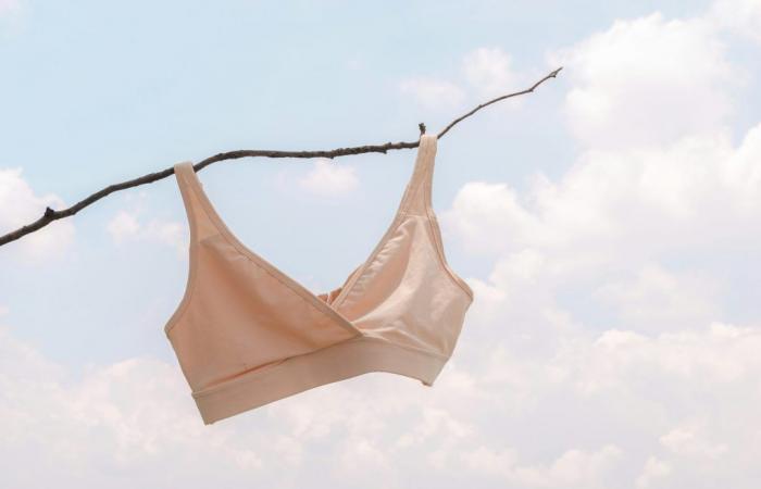 Le soutien-gorge impliqué dans le cancer du sein, vraiment ?