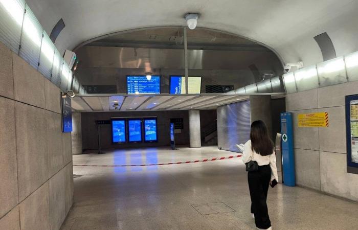 Une femme décède après une chute sur les rails en gare de Monaco, circulation interrompue et gare fermée