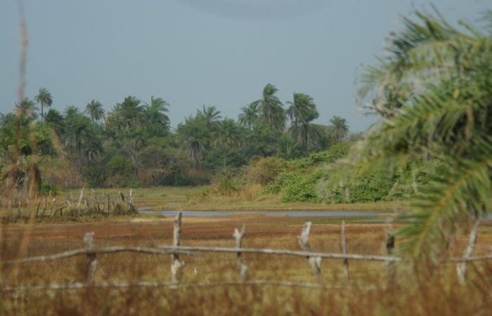 Ecotourisme Sénégal : à la découverte d’un paradis durable