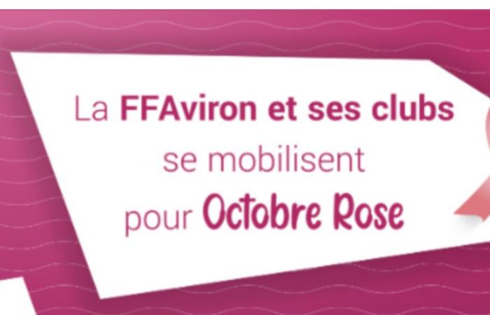 Octobre Rose – La FFAviron et les clubs se mobilisent