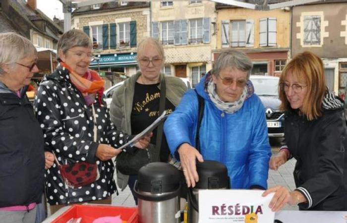 Une antenne Rémedia sur le marché