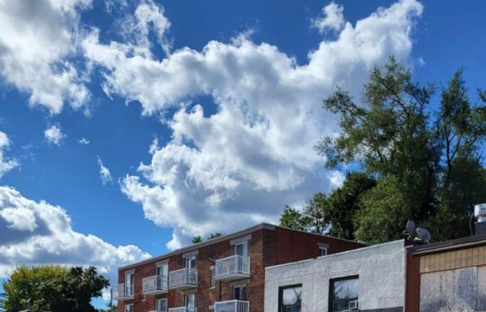 Les commerçants d’Henri-Bourassa à bout de souffle à cause des chantiers