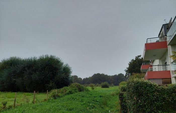 C’est pourquoi la construction de près de 100 logements dans cette commune de Loire-Atlantique est annulée