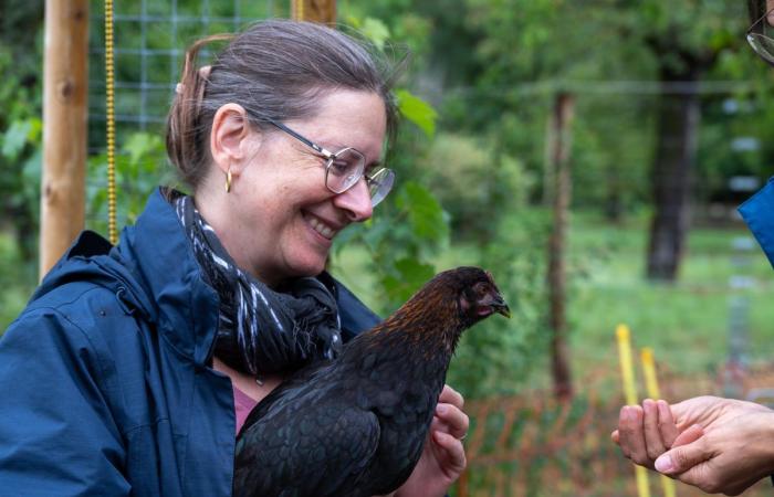 A participatory henhouse in Plan-les-Ouates