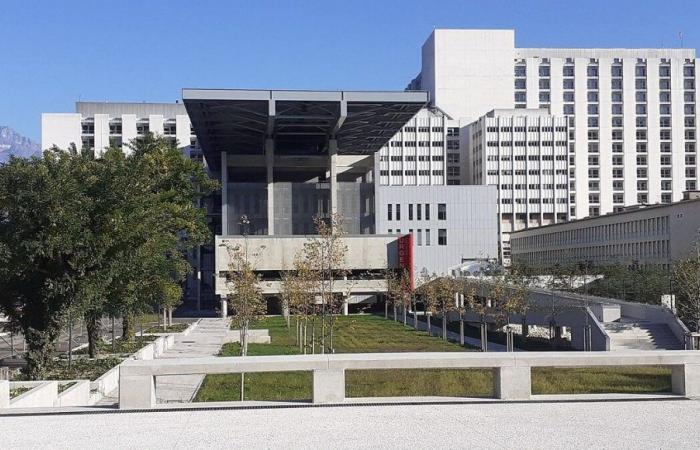 Trois cas de méningite chez des étudiants à Grenoble, une campagne de vaccination prévue