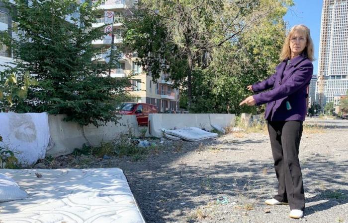 En attendant le REM, un futur parc prend des allures de dépotoir et de décharge à ciel ouvert