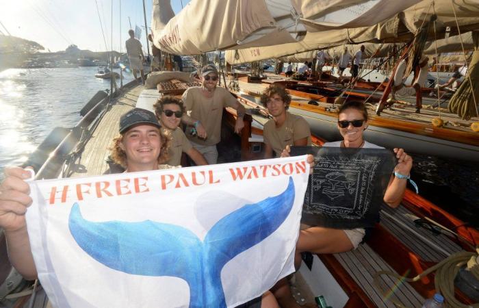 Paul Watson, leading figure of the 26th Voiles de Saint-Tropez