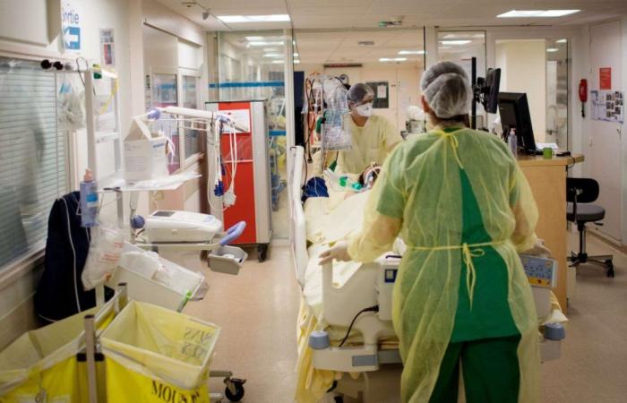 « Les médecins étrangers investissent principalement dans les spécialités hospitalières désertées par les médecins français qui préfèrent exercer à titre privé »