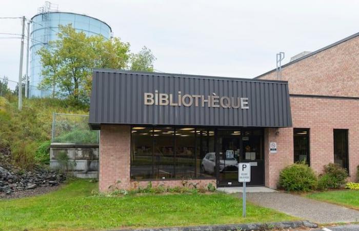 Les bibliothèques de Sherbrooke font pitié