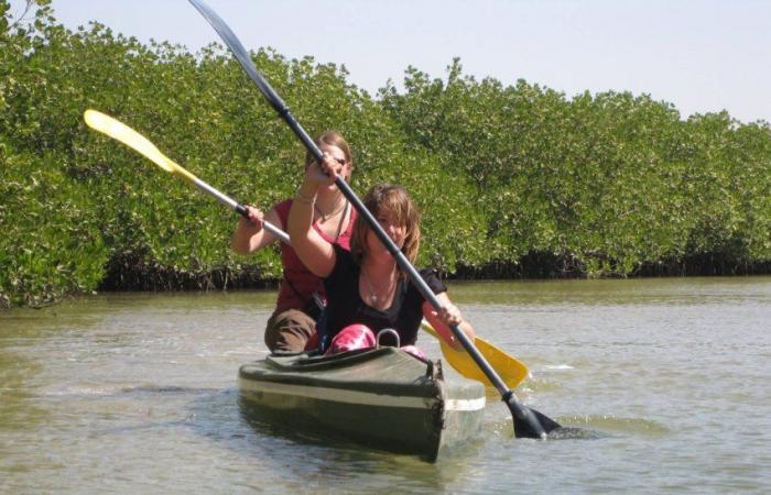 Ecotourisme Sénégal : à la découverte d’un paradis durable