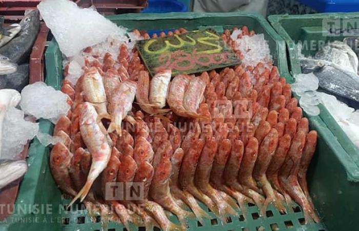 Tarifs au marché municipal de Kasserine (Vidéo + Photos)