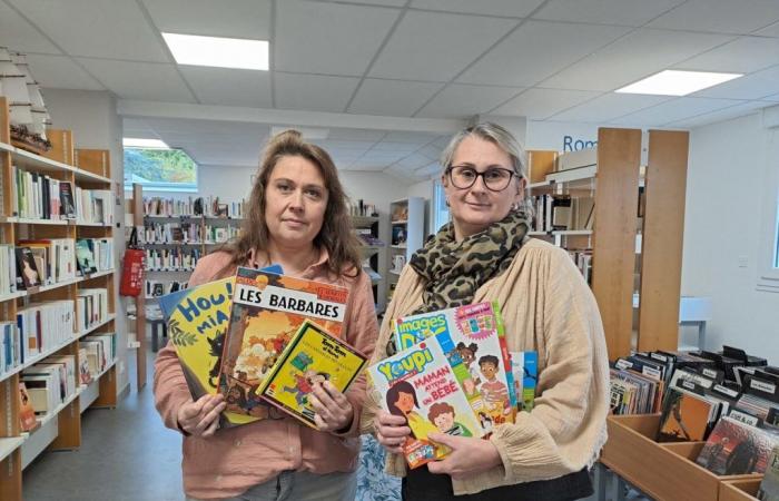 Proche Guingamp. Plus de 5 000 livres d’occasion en vente pour deux euros ou moins