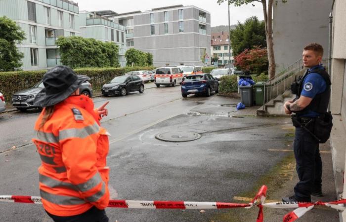 trois enfants blessés dans une attaque « violente » à Zurich, un homme arrêté