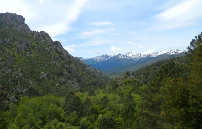 Réouverture des thermes de Pietrapola-les-Bains en Corse orientale