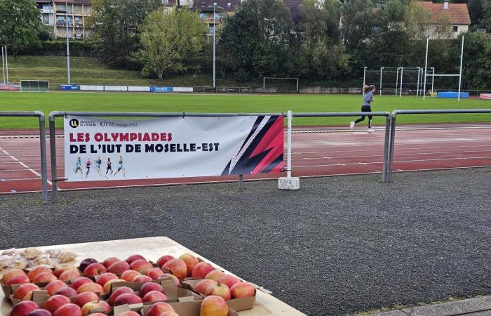 165 étudiants de l’IUT de Moselle-Est concourent lors des 1ers JO