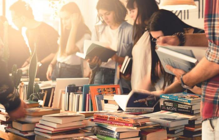 Les bibliothèques de Gironde vendent tous leurs livres et CD à 1€ à Bordeaux