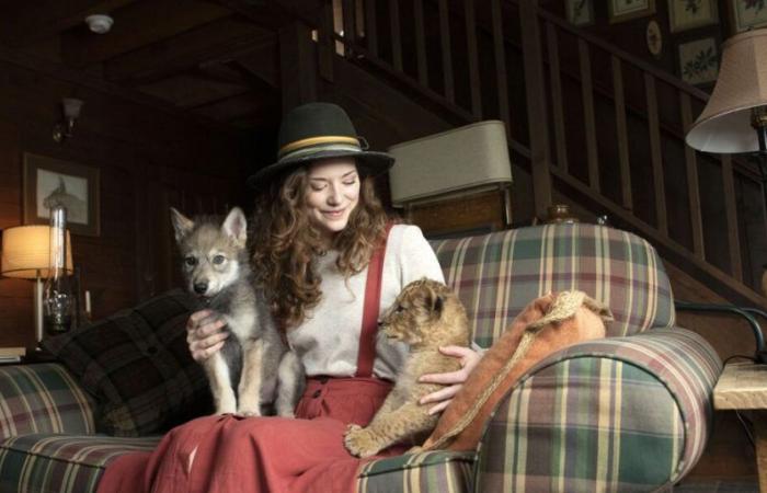 Les animaux ont-ils été relâchés dans la nature après le tournage ?