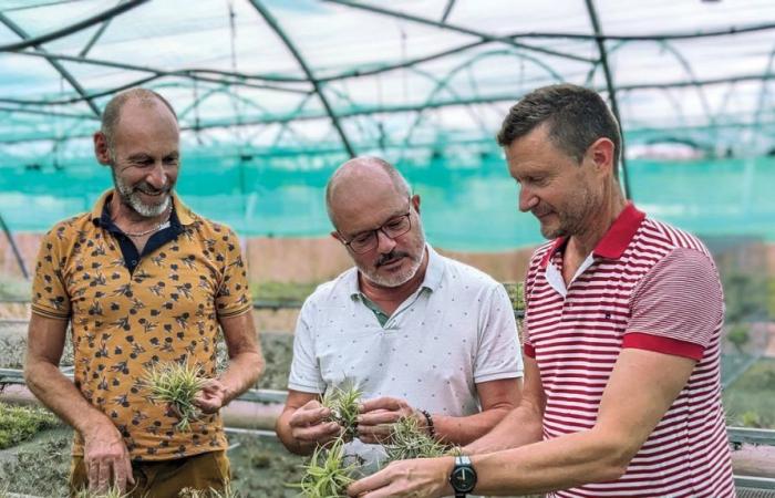 l’avenir est dans les plantes