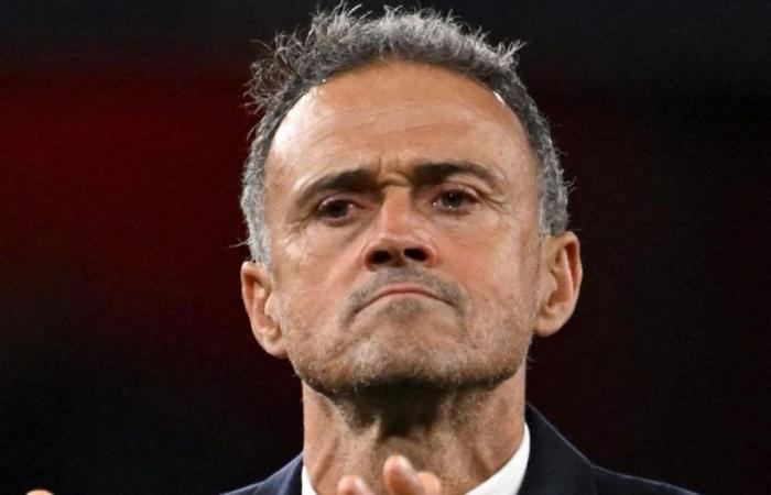 PSG : la réponse méprisante de Luis Enrique